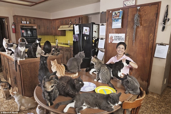 Crazy Russian Cat Lady Owns 102