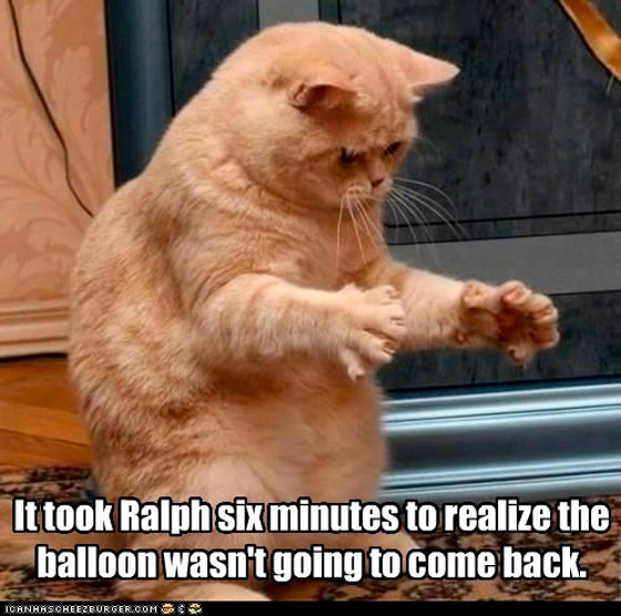lolcat