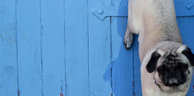 4 Truths About Human Nature Every Marketer Needs to Know Before Writing a Word of Copy Thumbnail