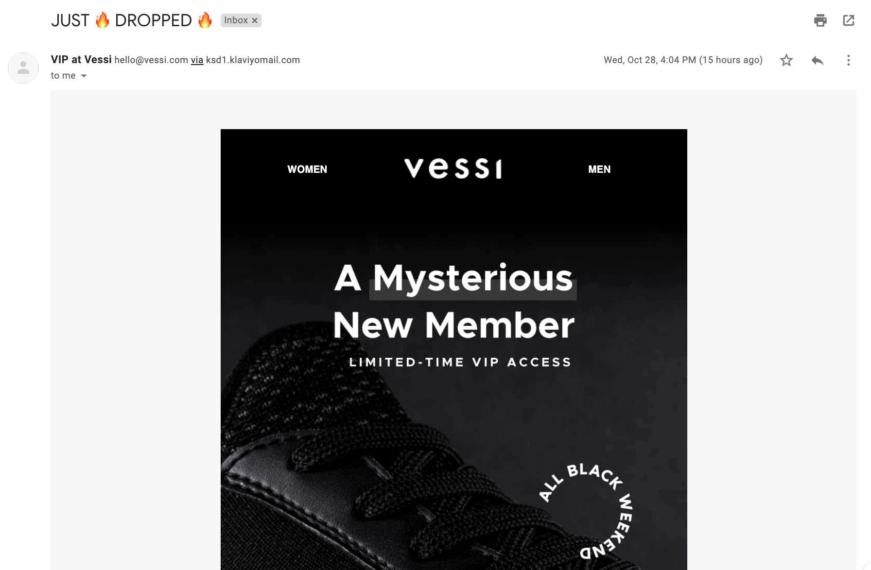 Email Marketing Example Vessi