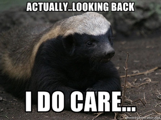 honey badger Meme, Meaning & History