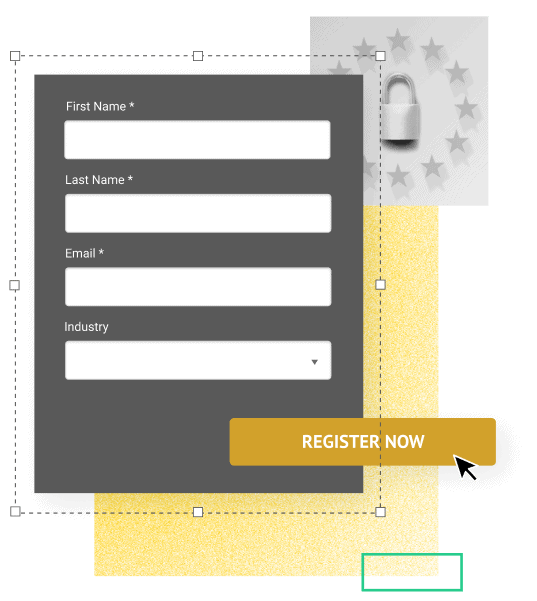 Lead Gen Page Form Image