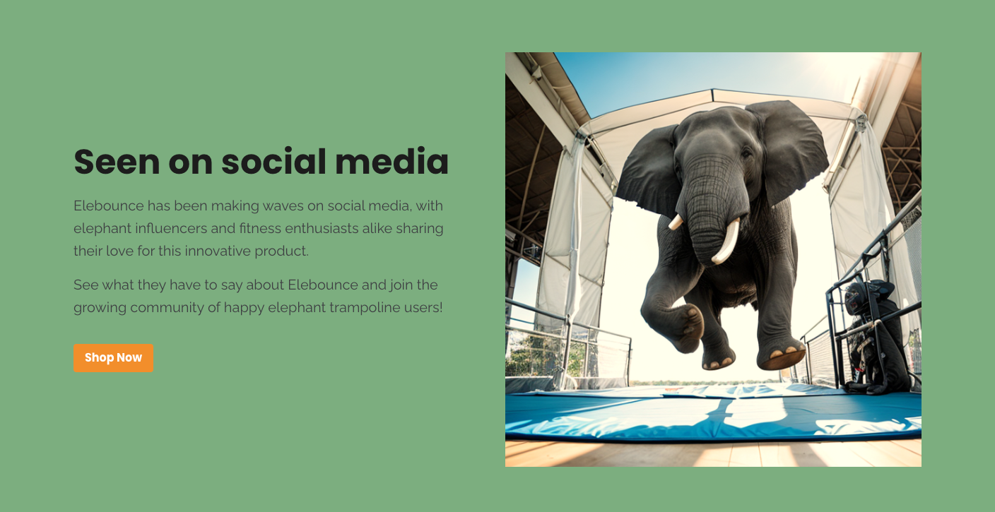 Screenshot of a section on the Elebounce landing page.