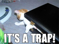 Lead gen lolcat