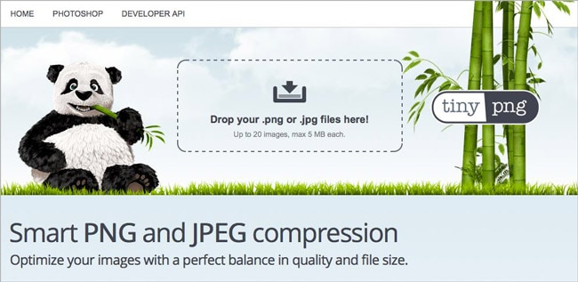 Bilder können mithilfe des Tools TinyPNG komprimiert werden
