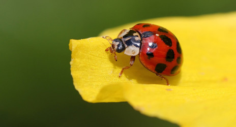 Conversion Centered Design: Kontrast und Farbe